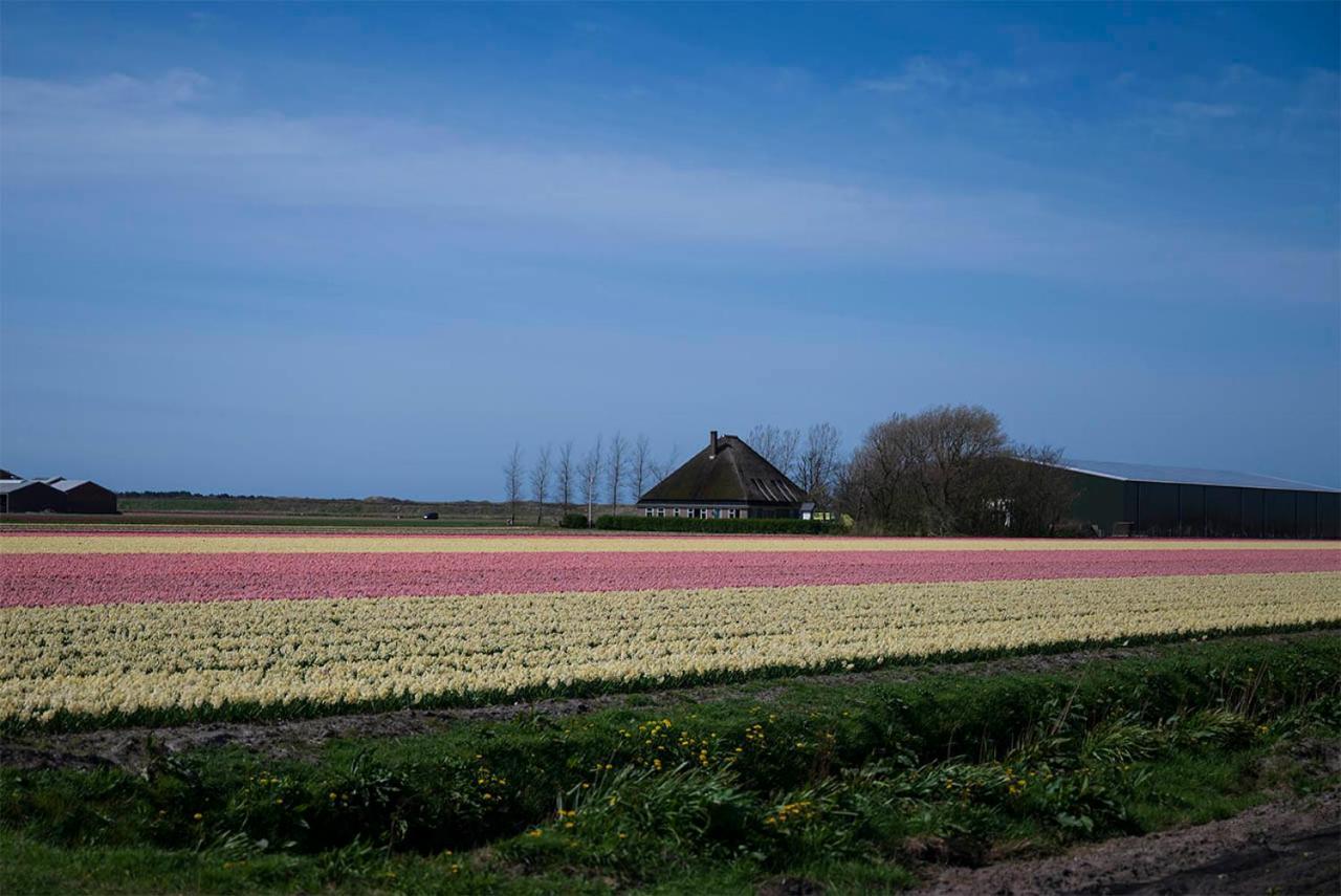 Bed and Breakfast Bloem & Bed 't Zand Zewnętrze zdjęcie